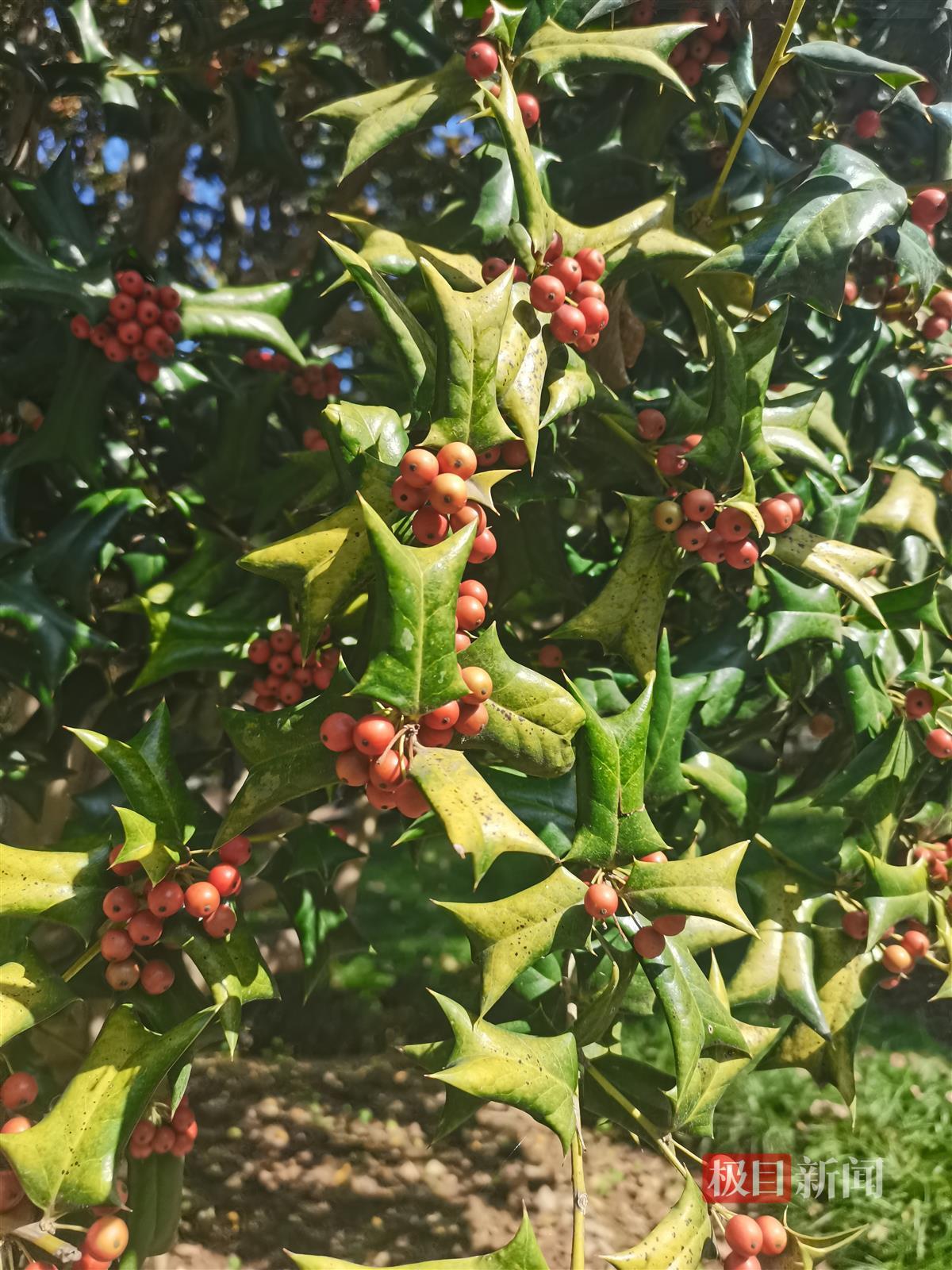 微信图片_20231219163639.jpg 微信图片_20231219163639.jpg