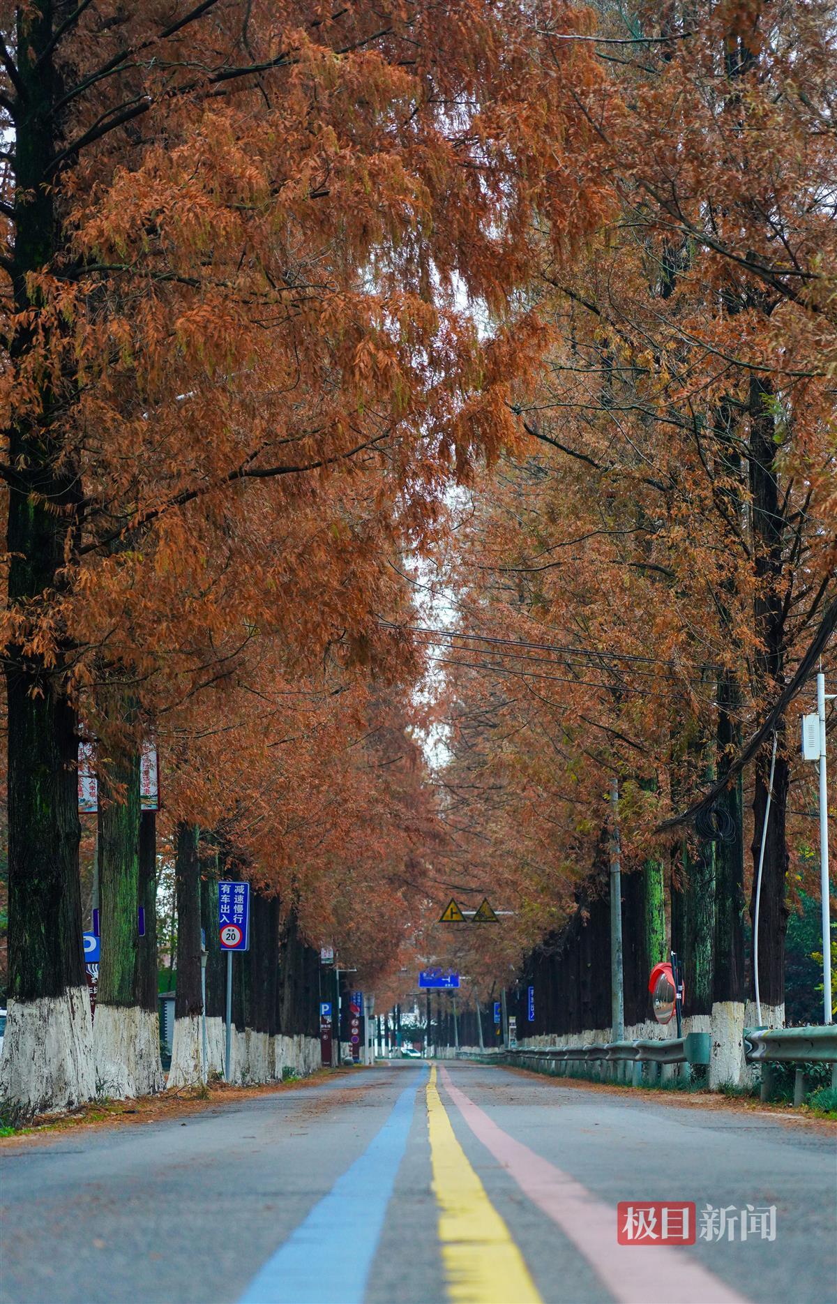 ZOU02801.JPG