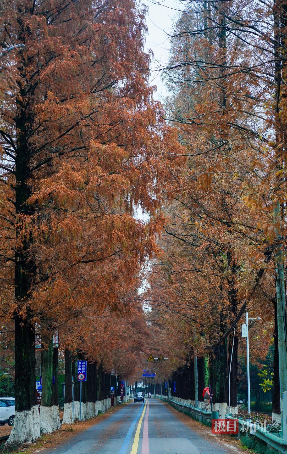 ZOU02791.JPG