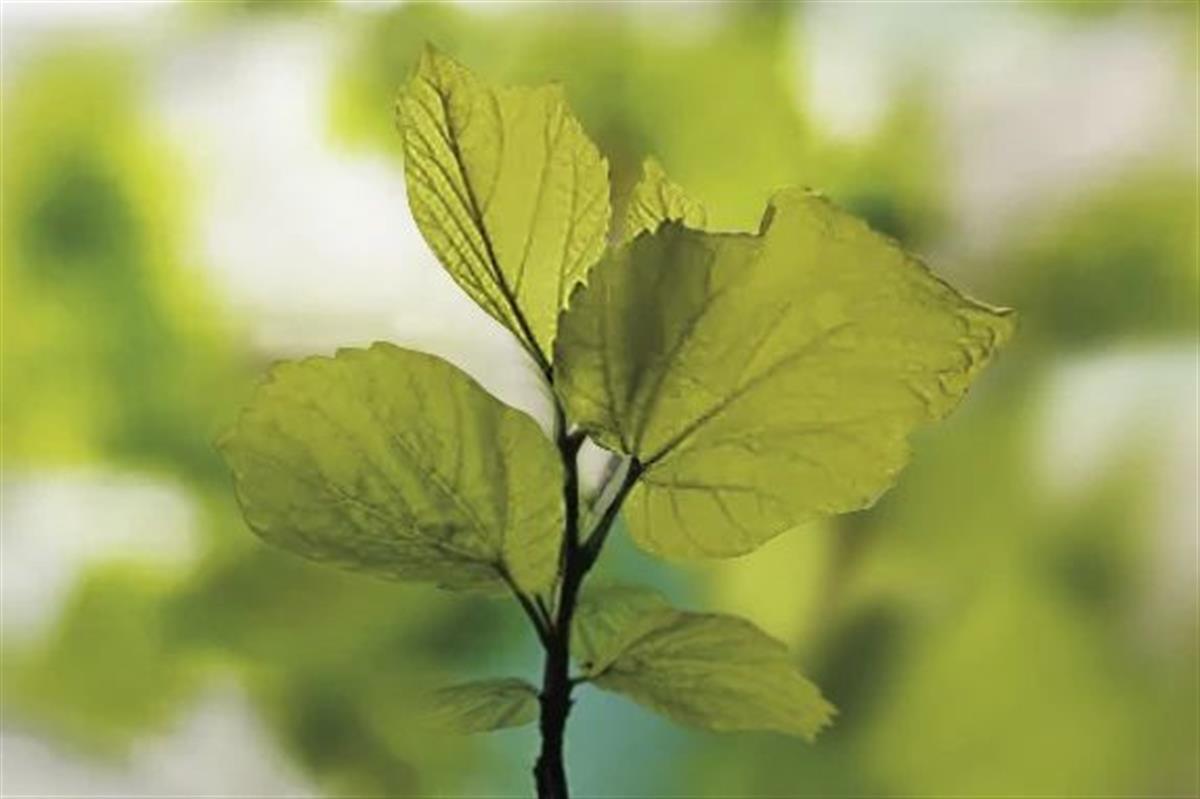 7333bd09260abd0a35b156547a407ce6.jpg 7333bd09260abd0a35b156547a407ce6.jpg