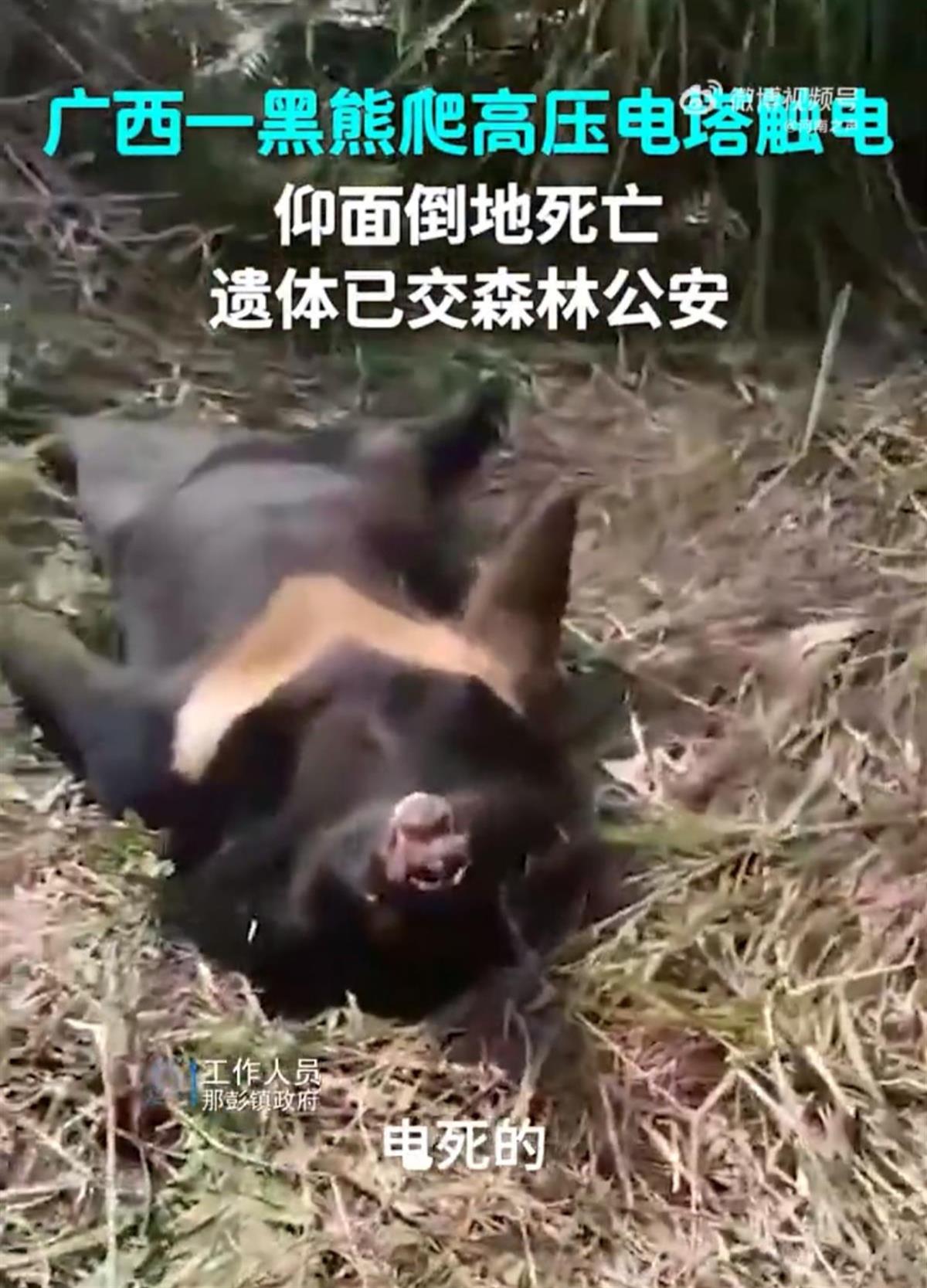 Screenshot_20240108_150754_com.tencent.mm_edit_25.jpg Screenshot_20240108_150754_com.tencent.mm_edit_25.jpg