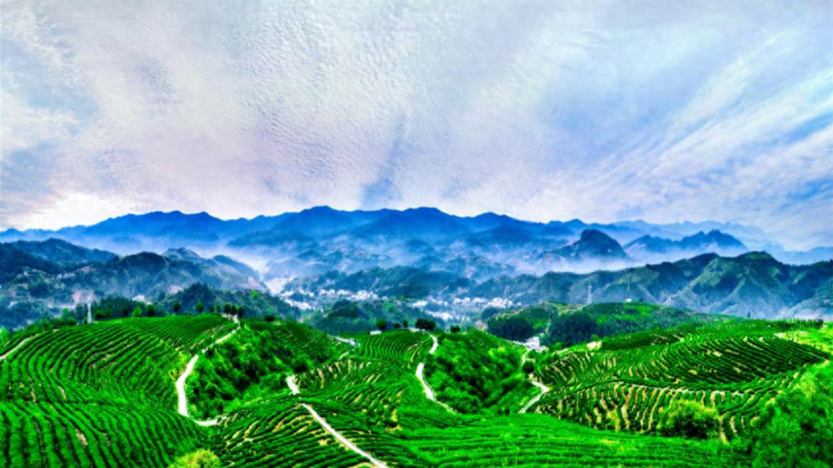 竹溪旅游1.png 竹溪旅游1.png