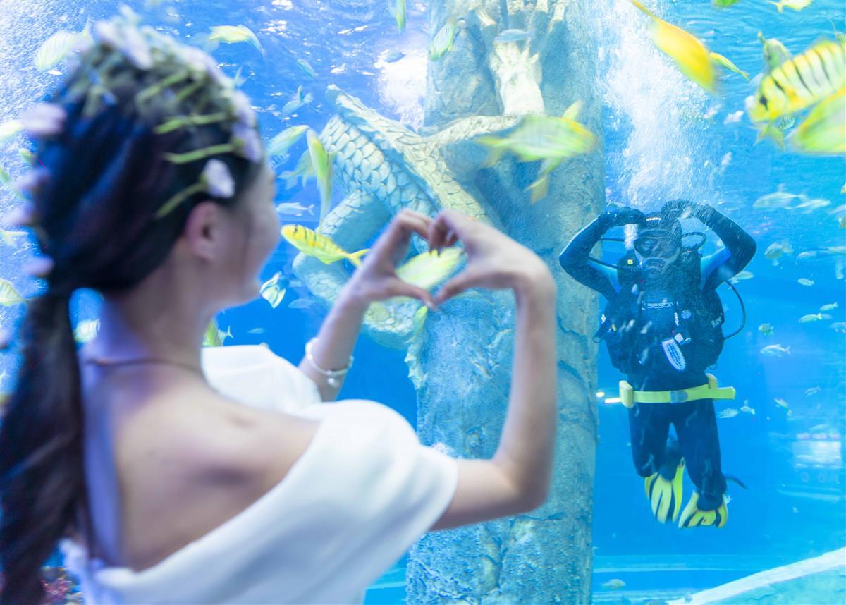 DSC03520.jpg DSC03520.jpg