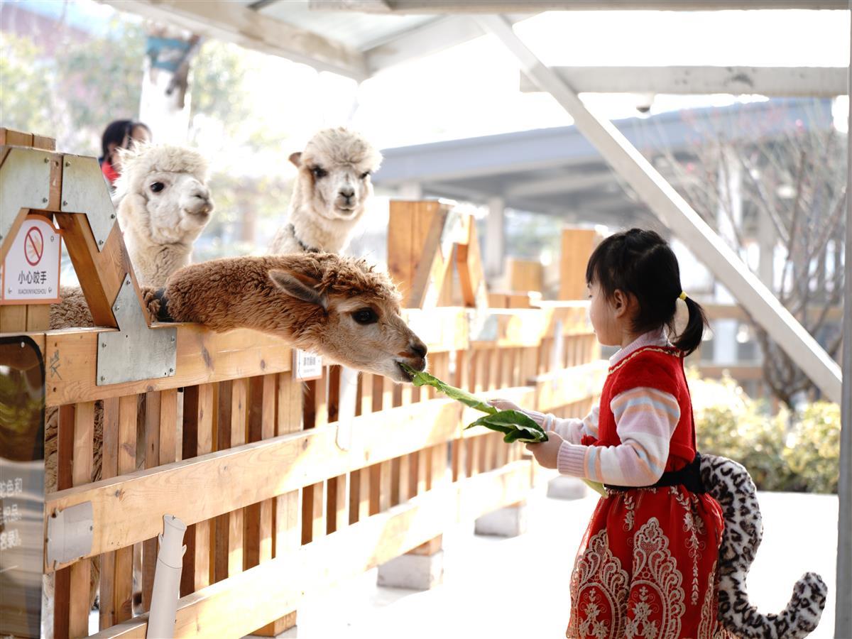 DSC00370.JPG DSC00370.JPG