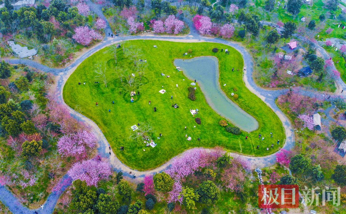 3月10日，荆州区八岭山镇朱家岭村浅山森林美术园鸟瞰   （极目新闻记者 黄志刚 摄）.jpg