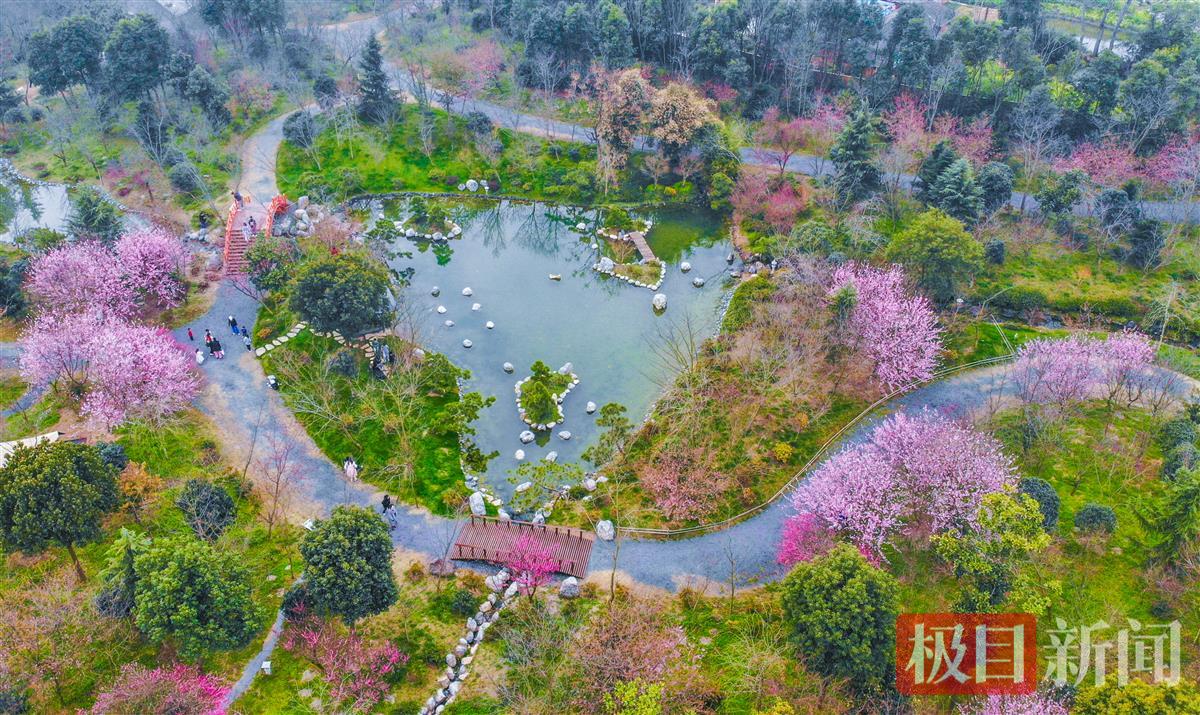 3月10日，荆州区八岭山镇朱家岭村浅山森林美术园鸟瞰  （极目新闻记者 黄志刚 摄）.jpg