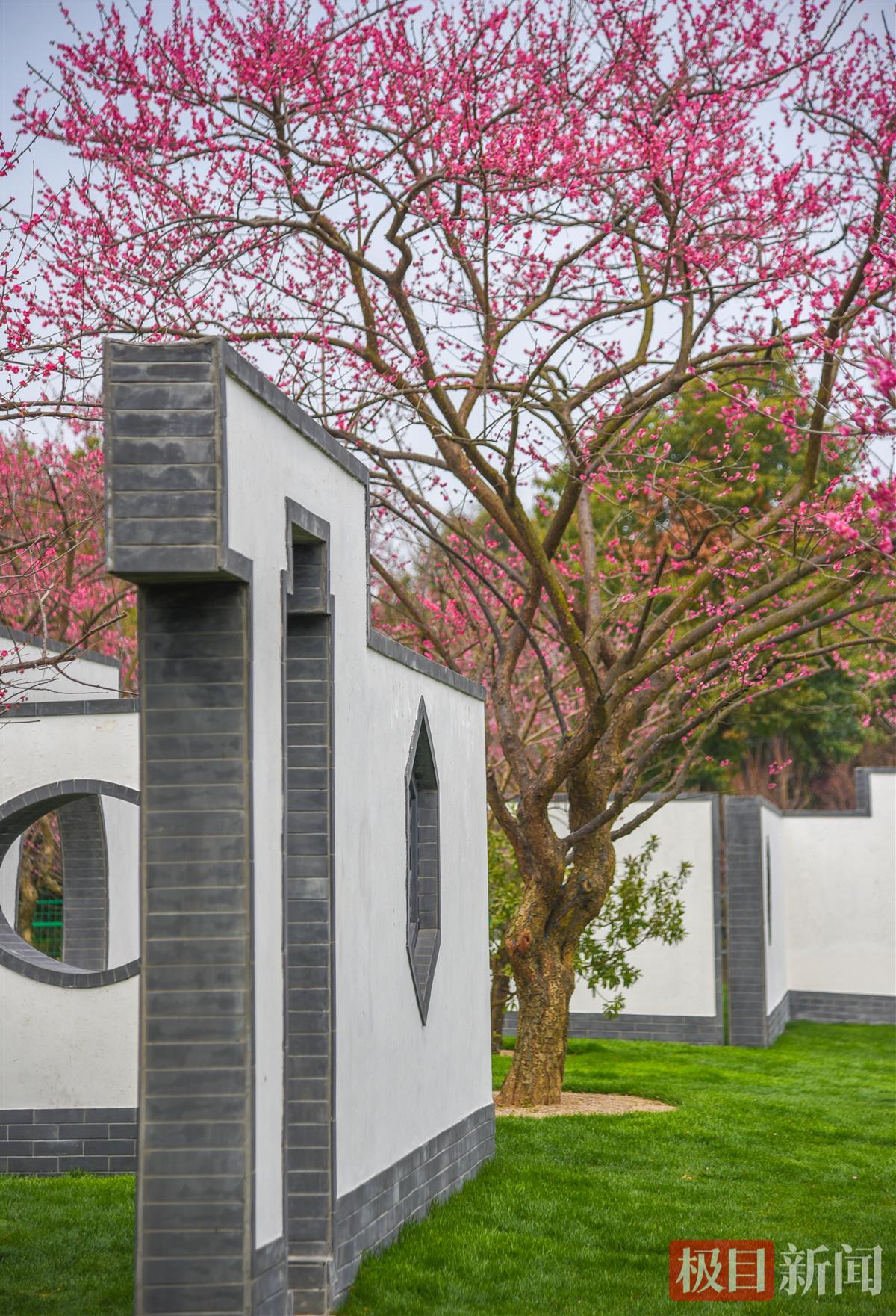 3月10日，浅山森林美术园一景（极目新闻记者 黄志刚 摄）.jpg