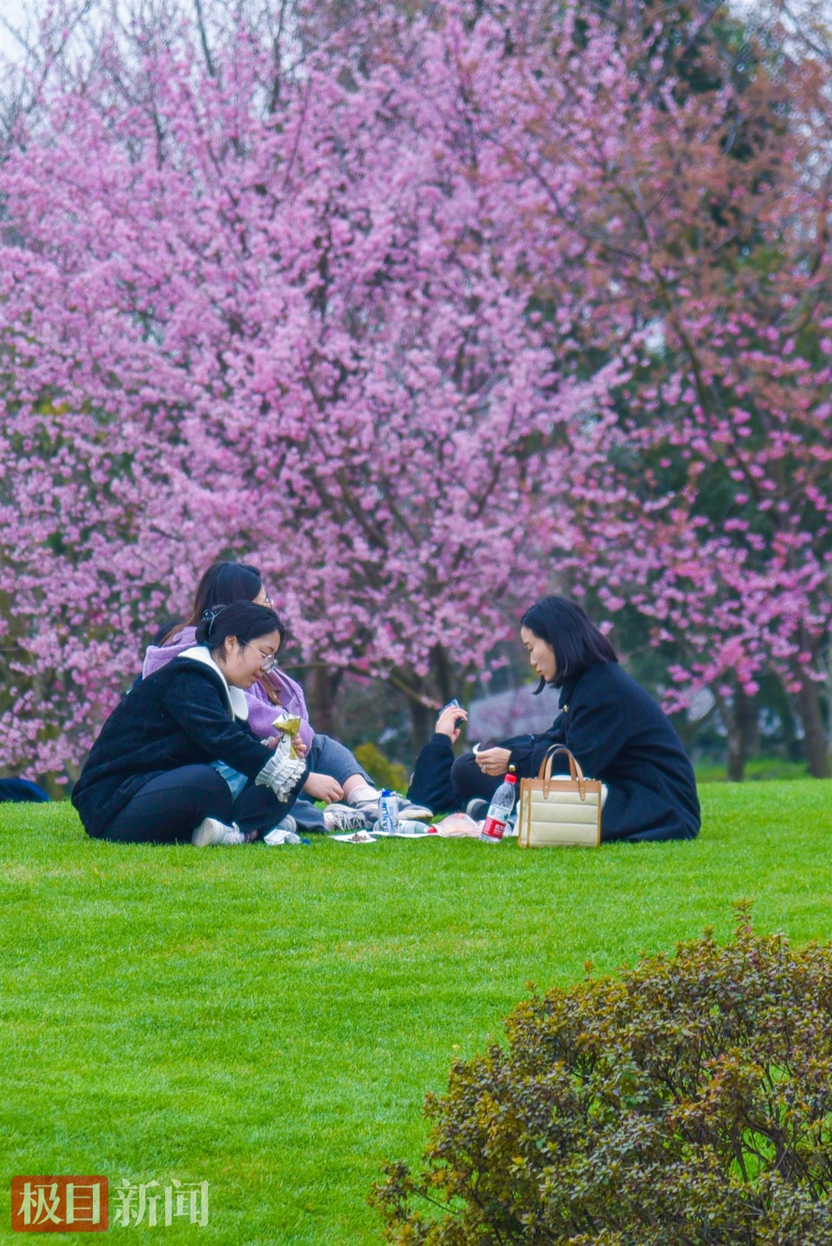 3月10日，游客在浅山森林美术园游玩         （极目新闻记者 黄志刚 摄）.jpg