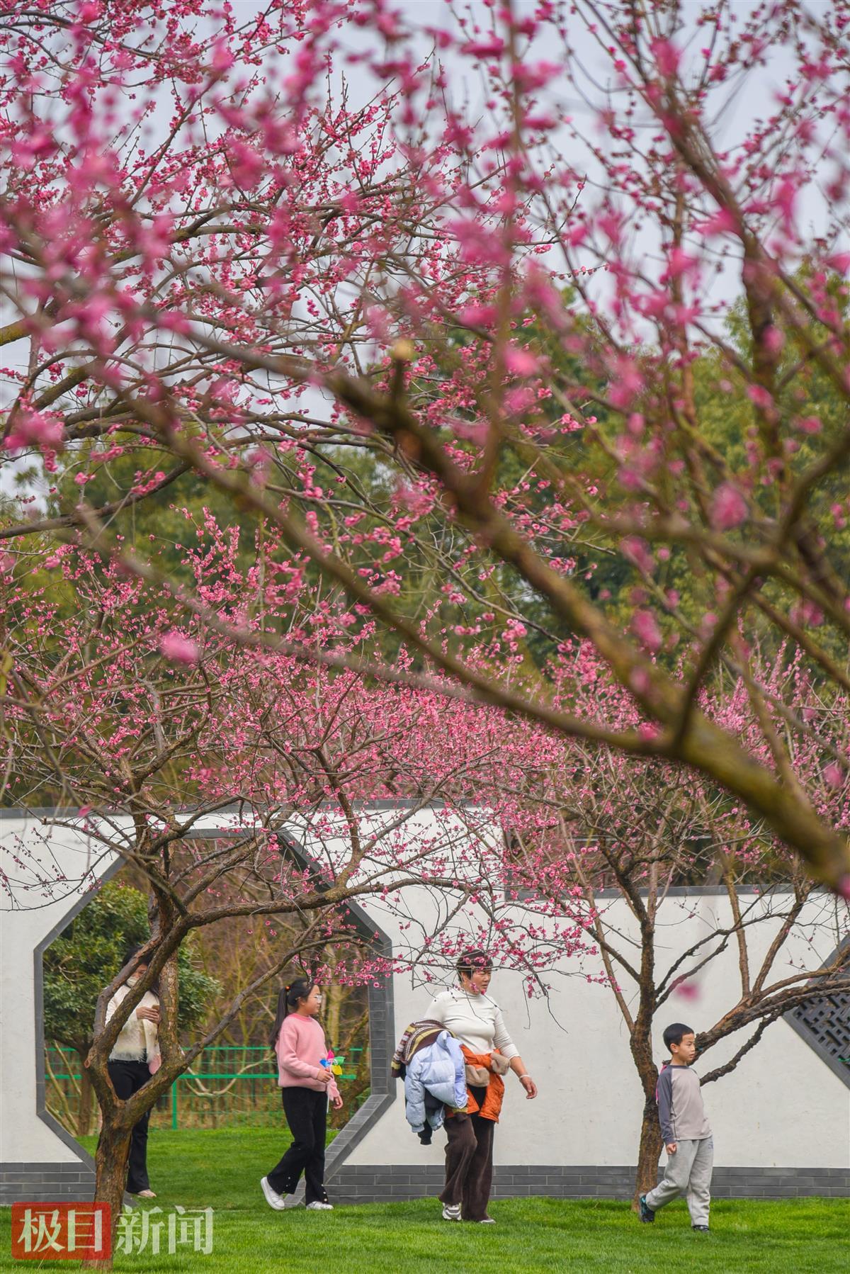 3月10日，游客在浅山森林美术园游玩（极目新闻记者 黄志刚 摄）.jpg
