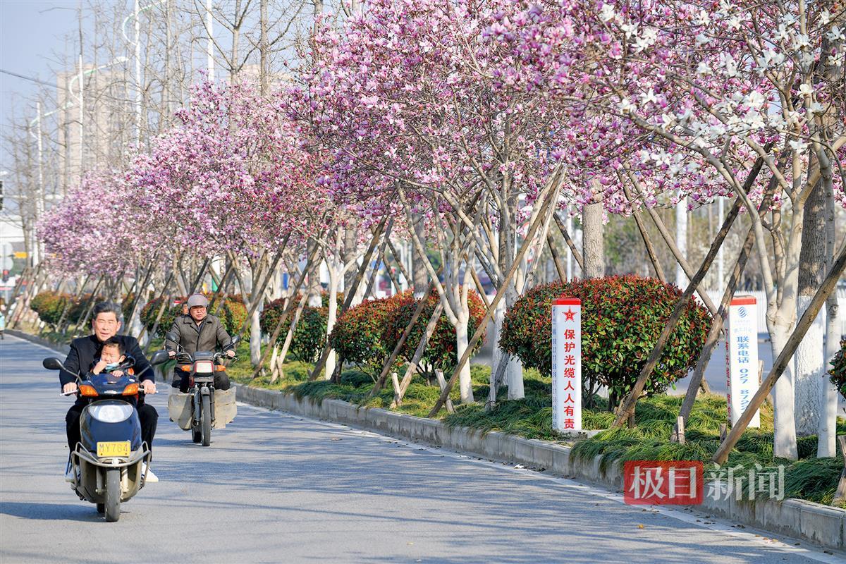 微信图片_20240312182248.jpg 微信图片_20240312182248.jpg