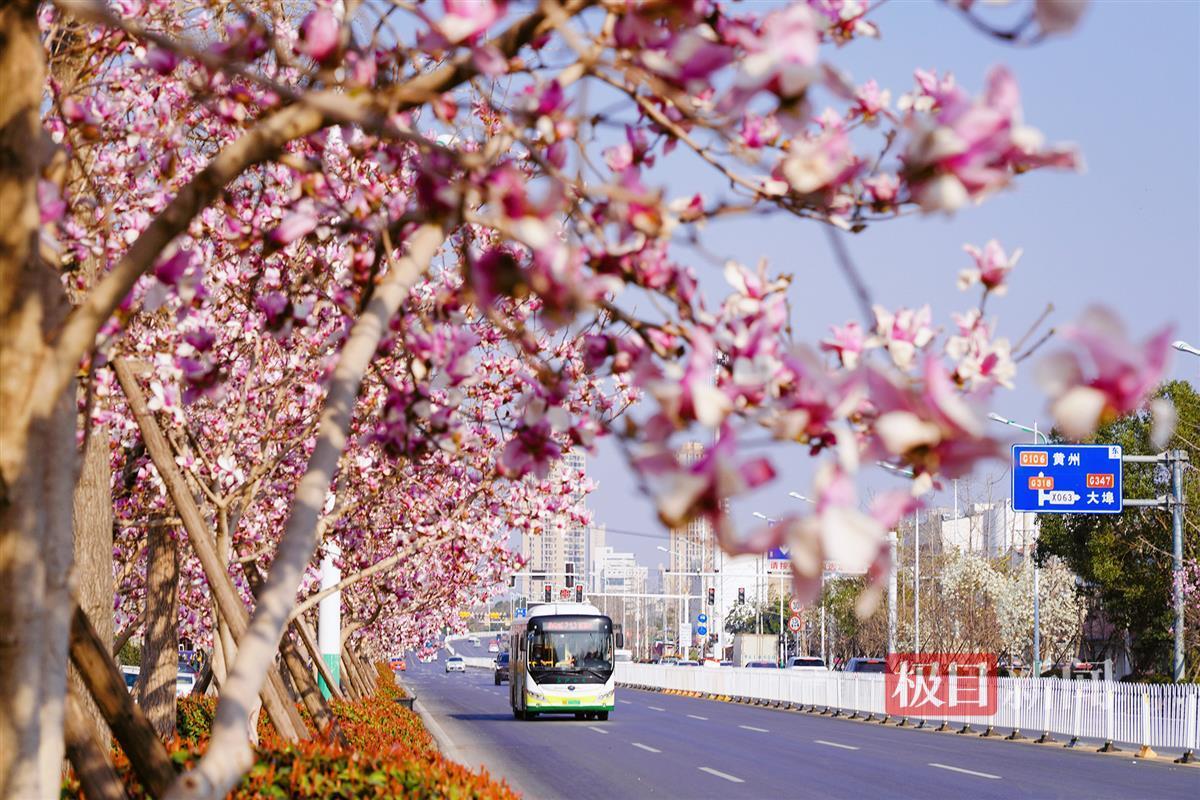 微信图片_20240312182157.jpg 微信图片_20240312182157.jpg