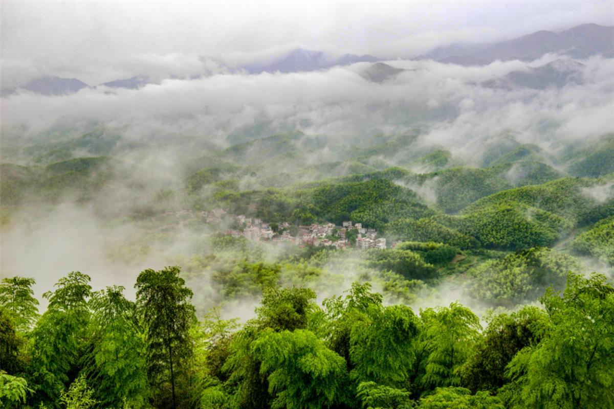 咸宁星星竹海尽情森呼吸