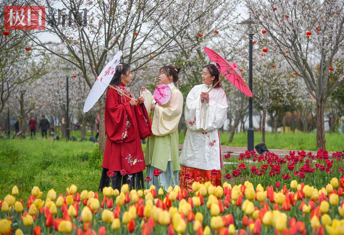 汉服爱好者在江陵县六合垸农场樱花谷游玩。（极目新闻记者 黄志刚 摄）.jpg