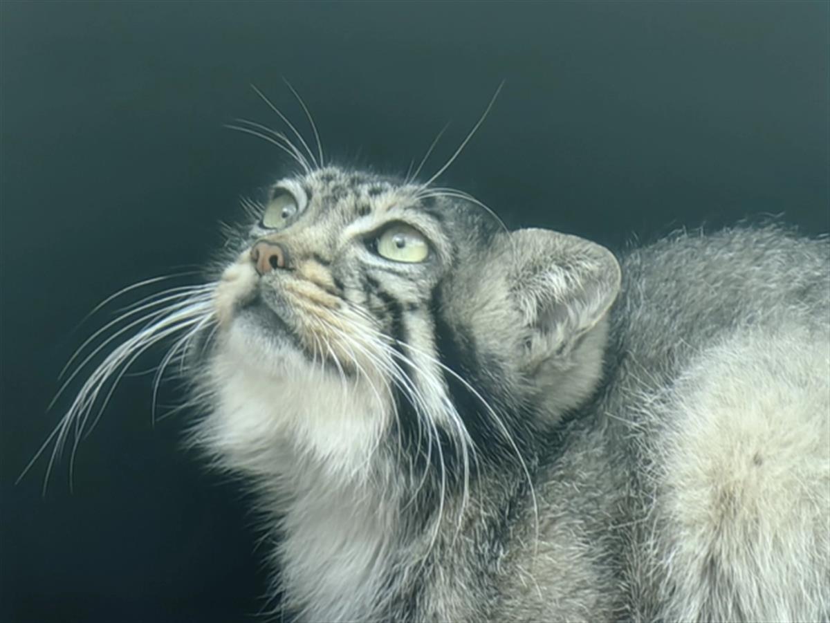 QQ图片20240319102629.png QQ图片20240319102629.png