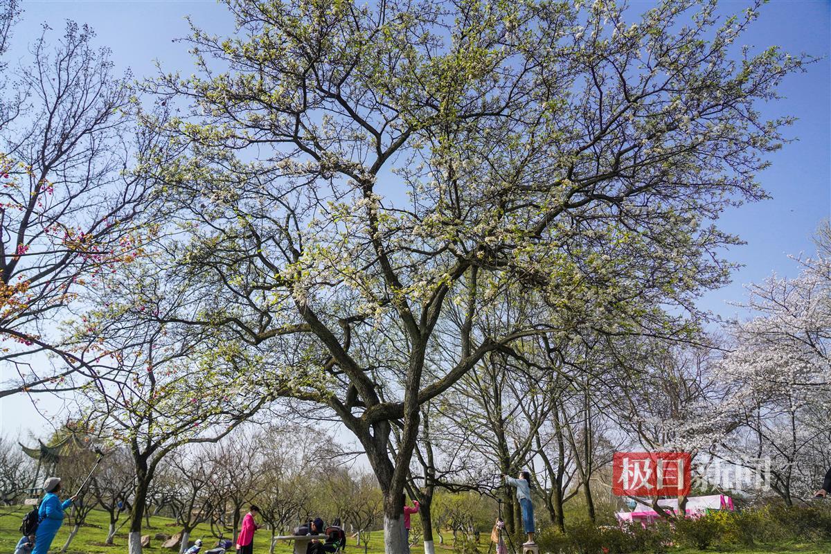 ZOU03435.JPG ZOU03435.JPG