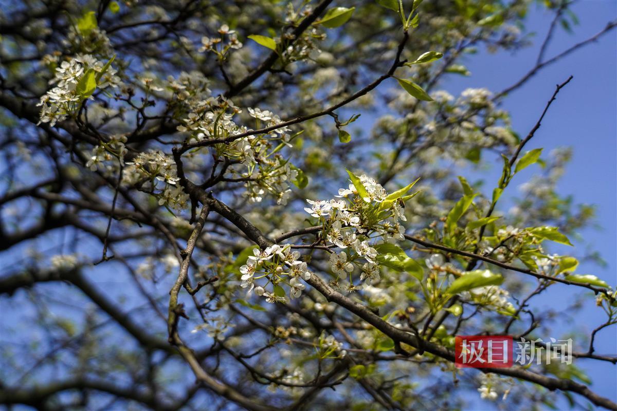 ZOU03428.JPG ZOU03428.JPG