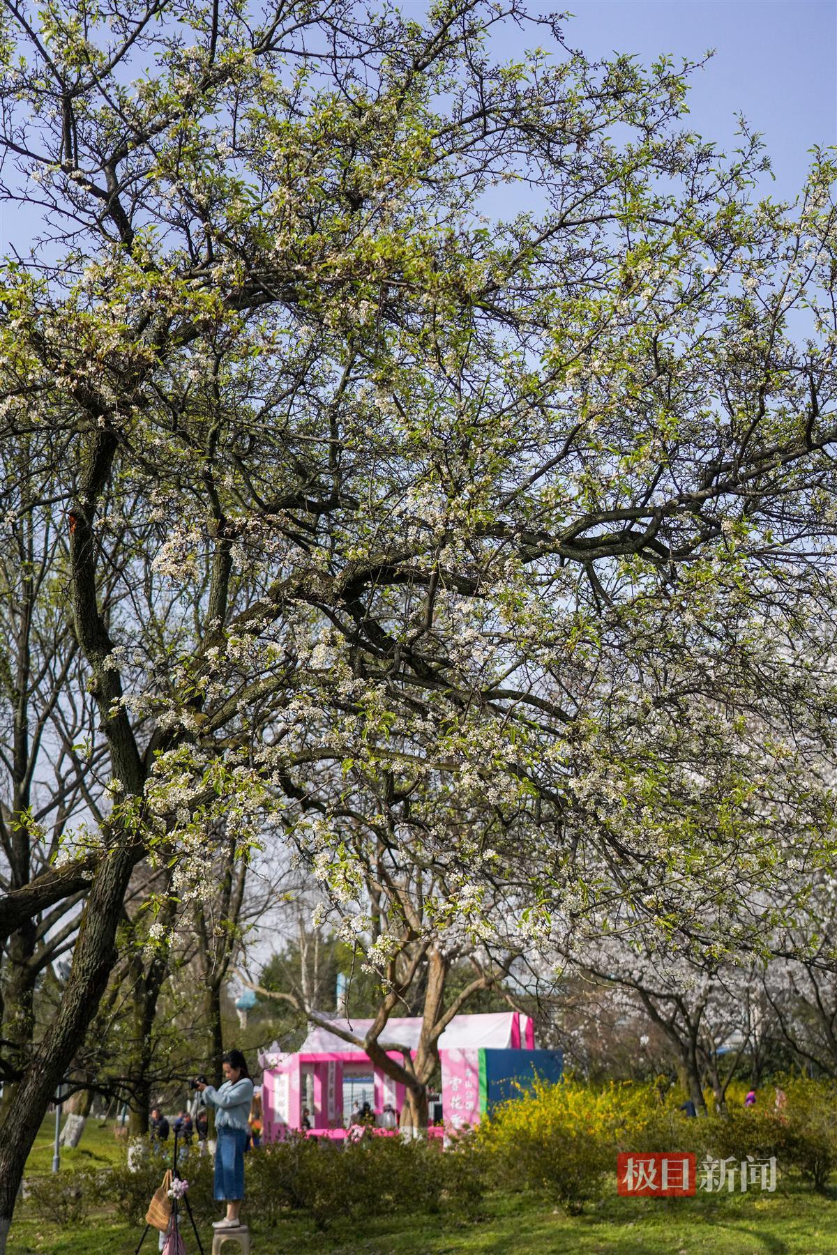 ZOU03439.JPG ZOU03439.JPG