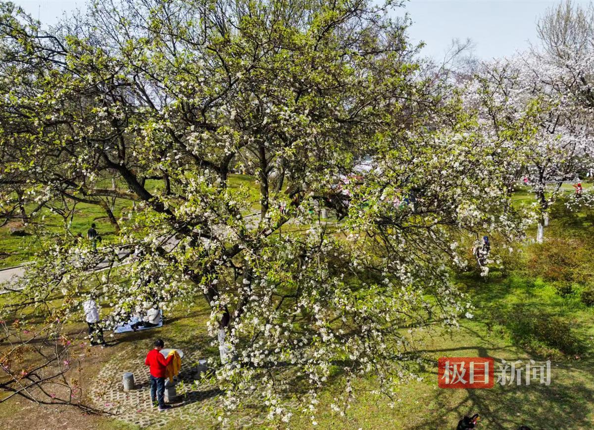 1aec5efa0be3f3e10779a1e4c6d695b.jpg 1aec5efa0be3f3e10779a1e4c6d695b.jpg