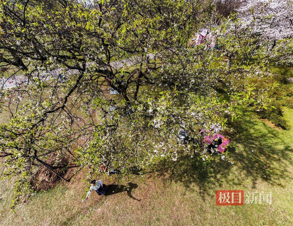 1710839630713.jpg 1710839630713.jpg