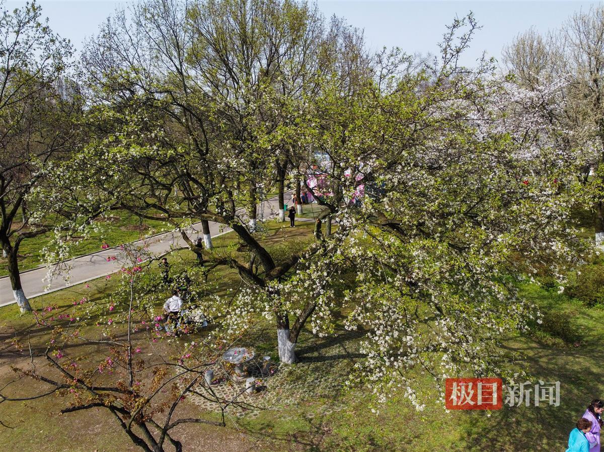 DJI_0005.JPG DJI_0005.JPG