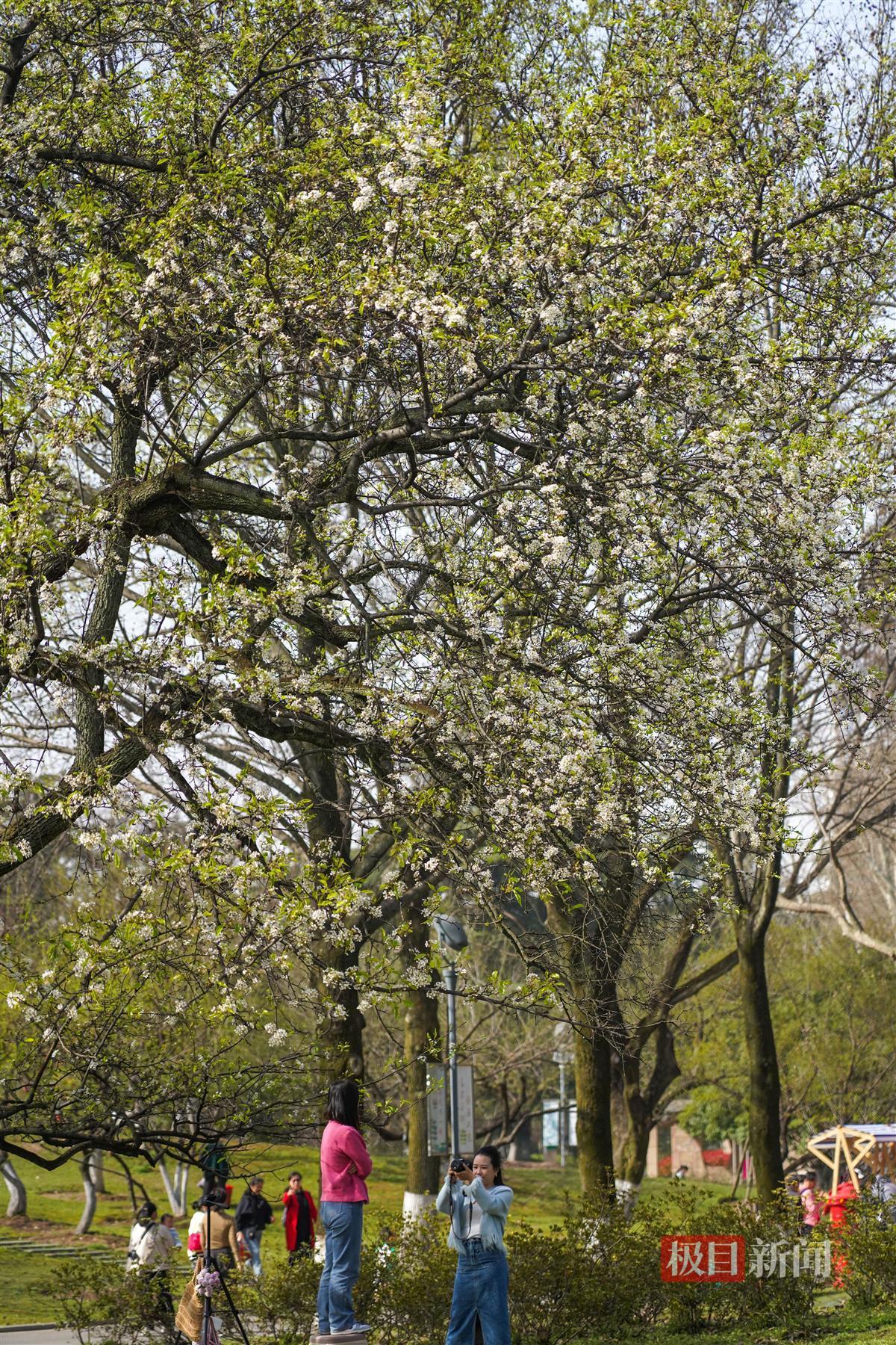 ZOU03409.JPG ZOU03409.JPG