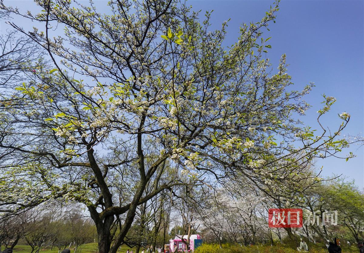 ZOU03399.JPG ZOU03399.JPG