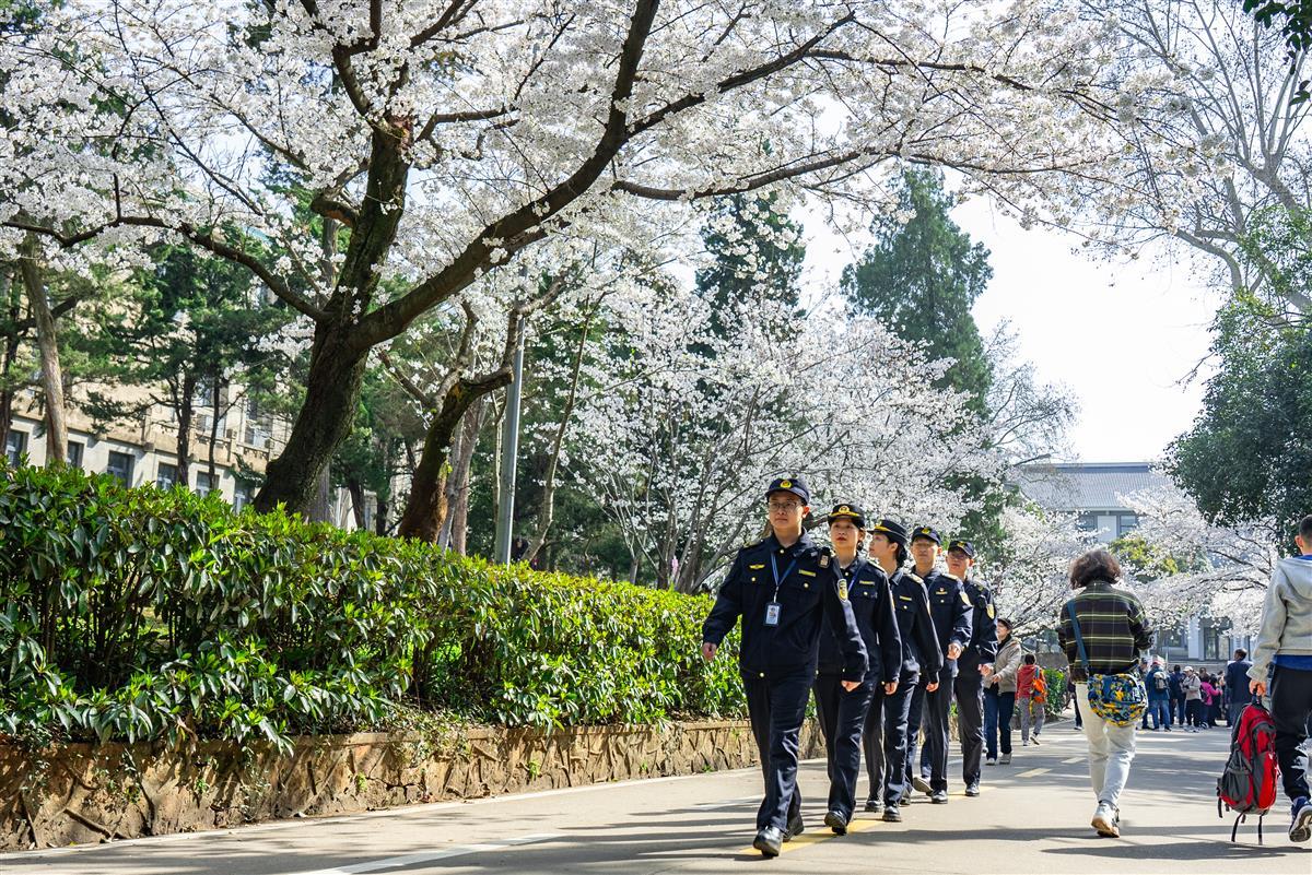 青年示范岗队员参与武大樱花节保障工作.jpg