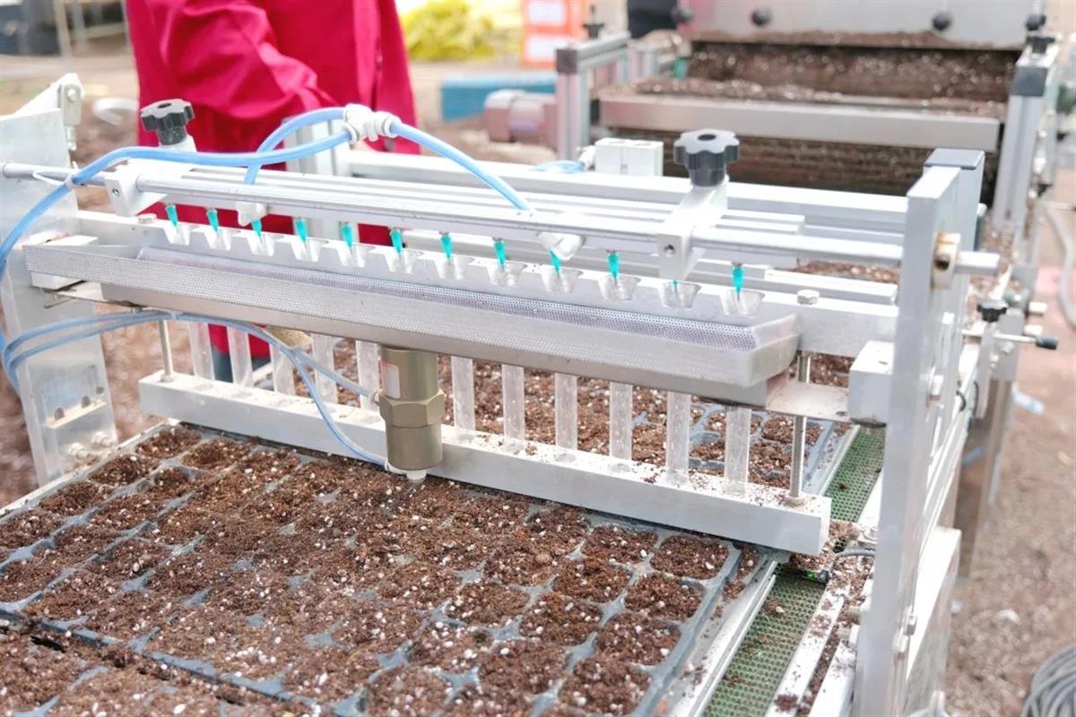 工作人员正在操控机械设备育苗（通讯员供图）.jpg