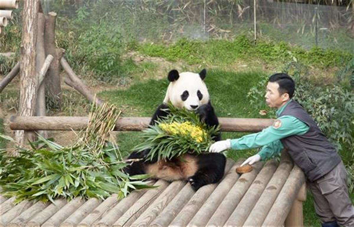 与姜爷爷.jpg