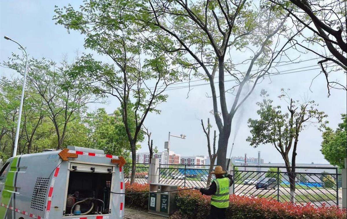 佛祖岭西片区流芳园北路栾树蚜虫病虫害防治.png