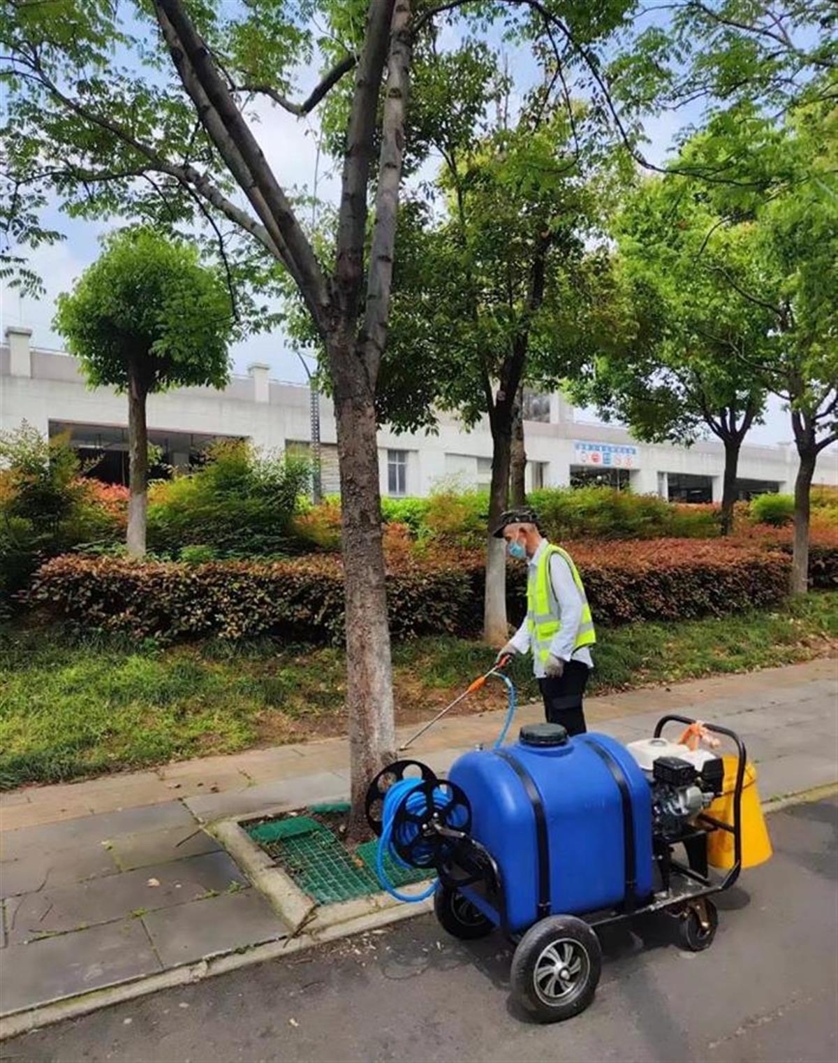 高新大道栾树蚜虫病虫害防治1.jpg