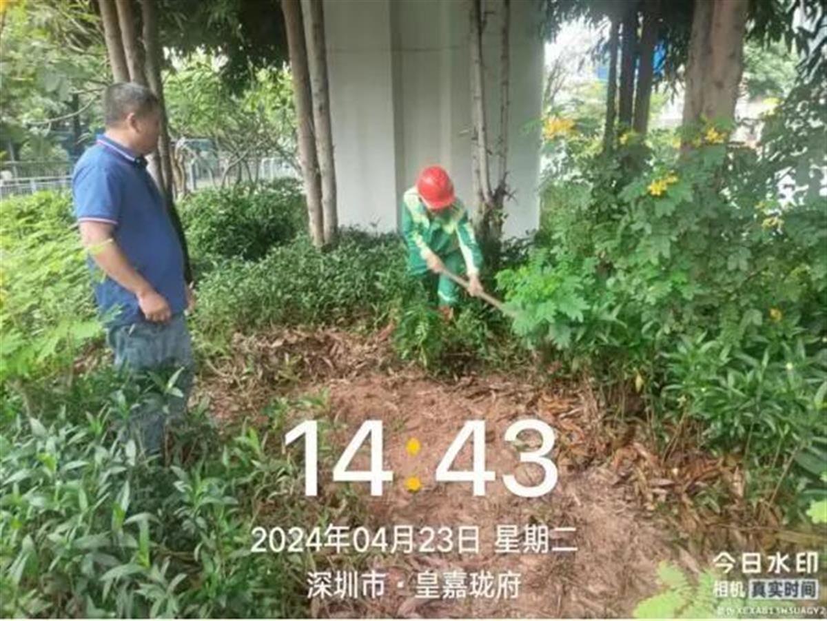 天博体育官方平台入口极目时评｜暴雨天给高架桥下的绿化带浇水解释合情合理就有说服力(图2)