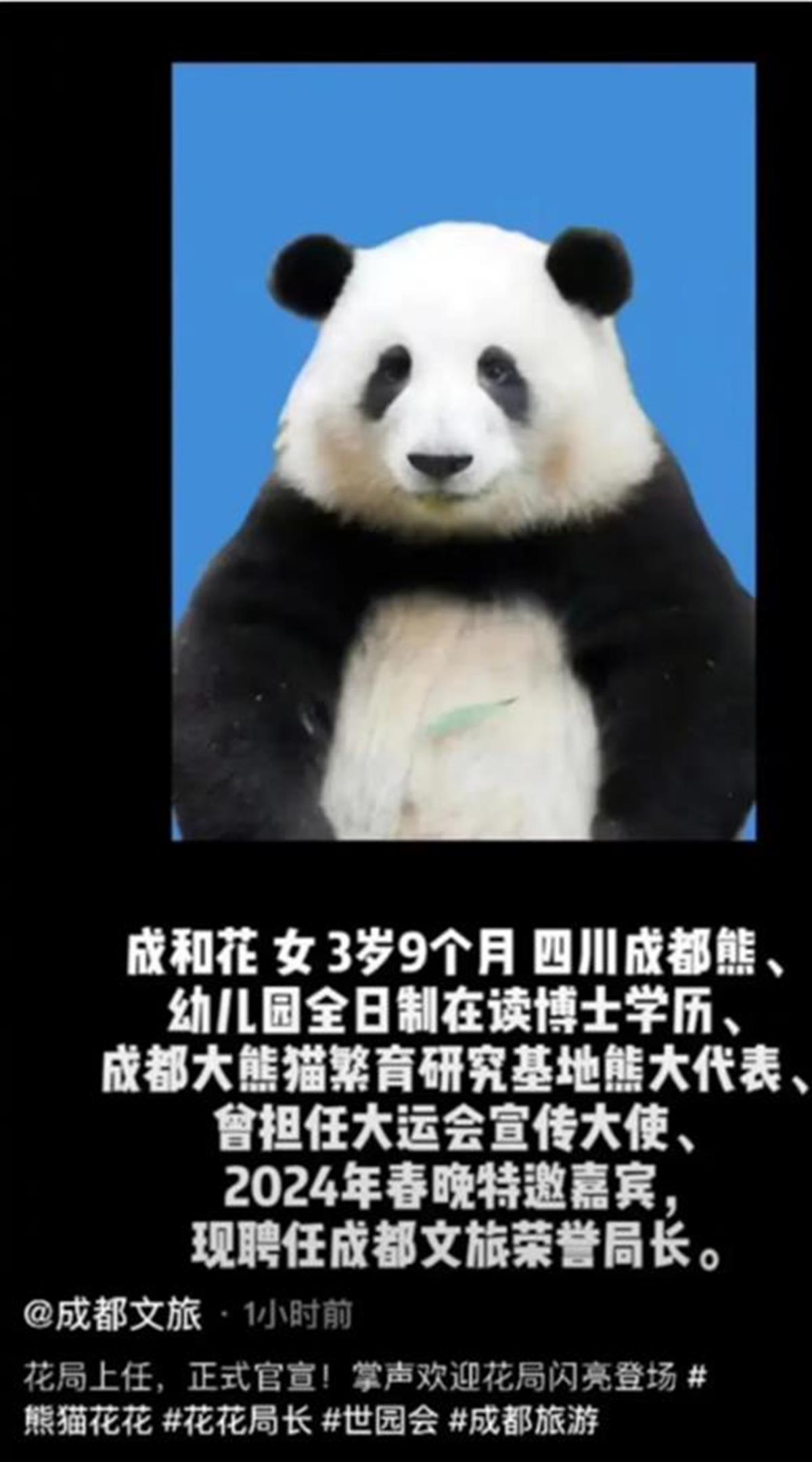 微信图片_20240425161242.png 微信图片_20240425161242.png