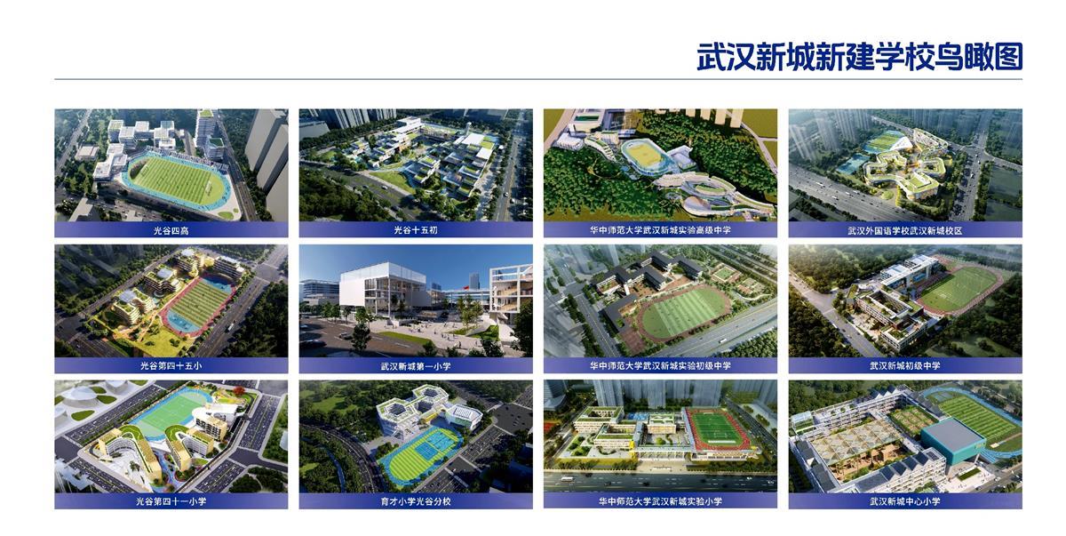 武汉新城新建学校.jpg
