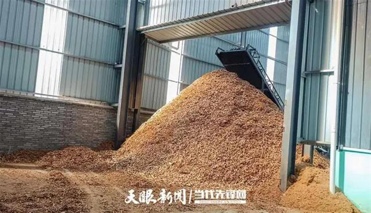 Ａ烤肉店用玉米粒作燃料 ３.jpg