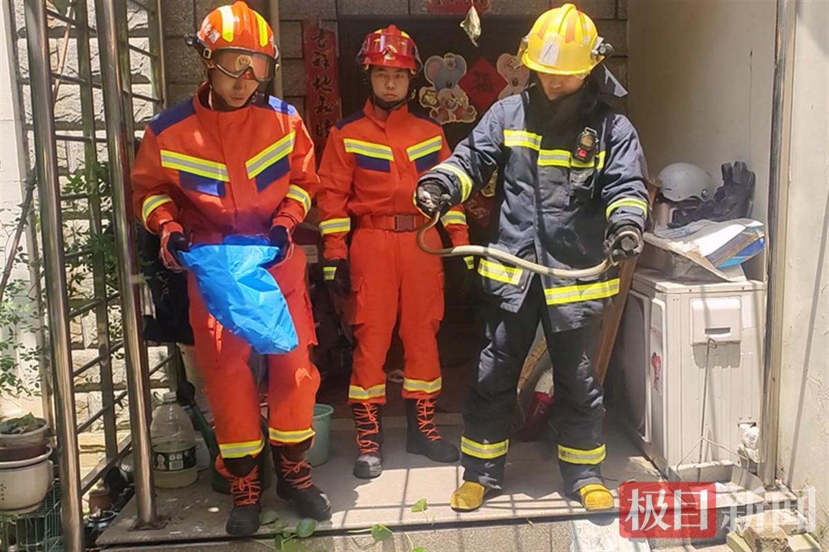 消防救援人员搜捕到蛇（通讯员 严磊 摄）.jpg
