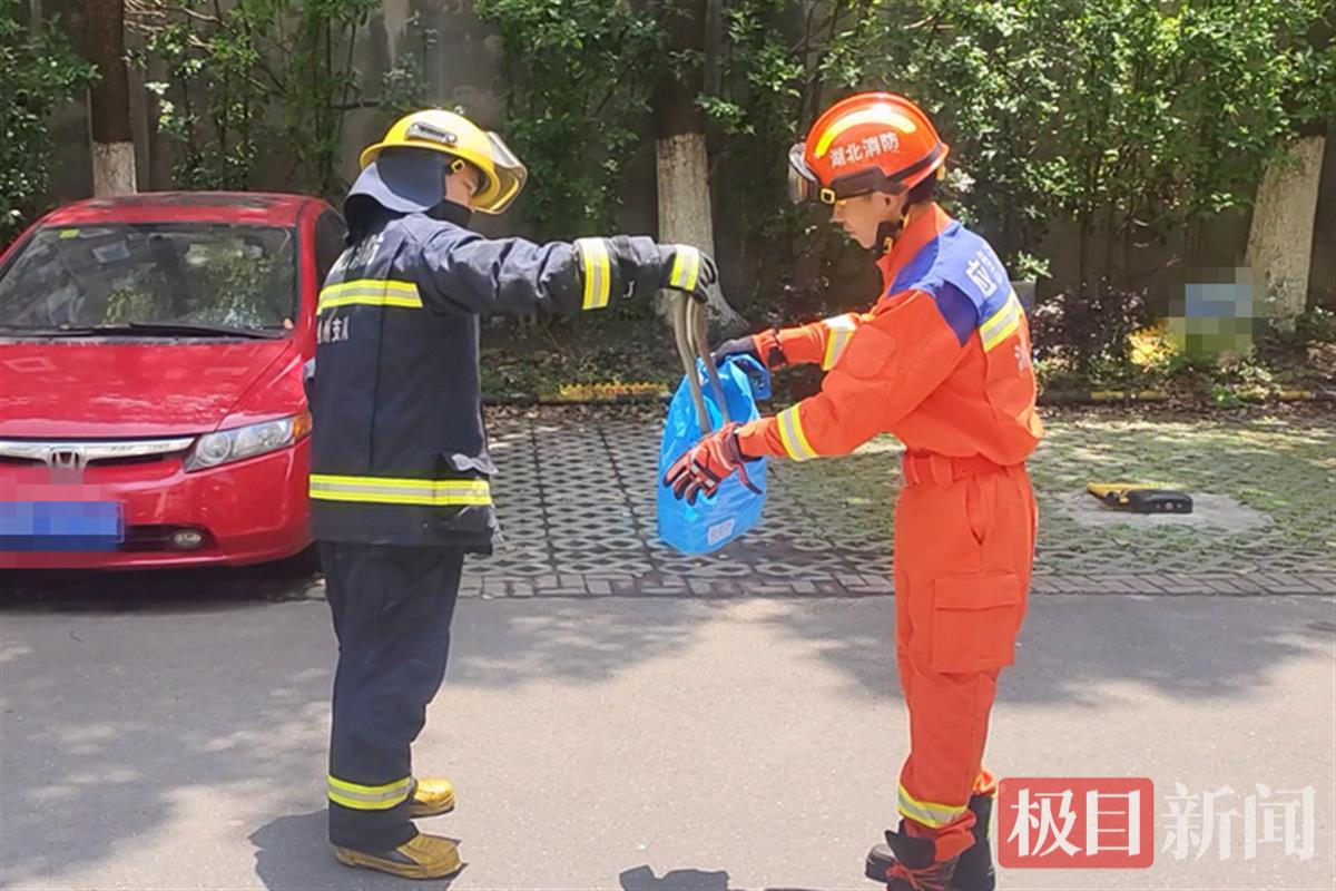 消防救援人员将蛇装入袋中以备放生（通讯员 严磊 摄）.jpg