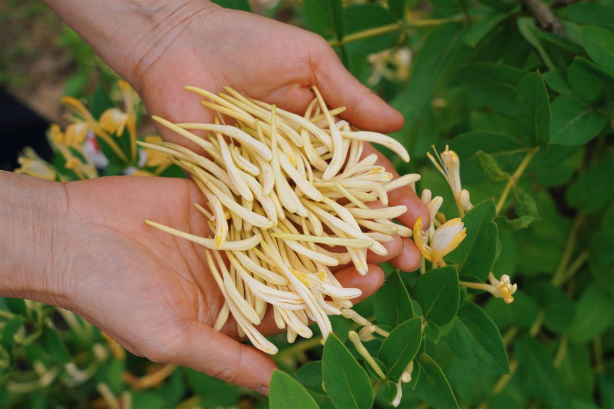 微信图片_20240511151451.jpg 微信图片_20240511151451.jpg