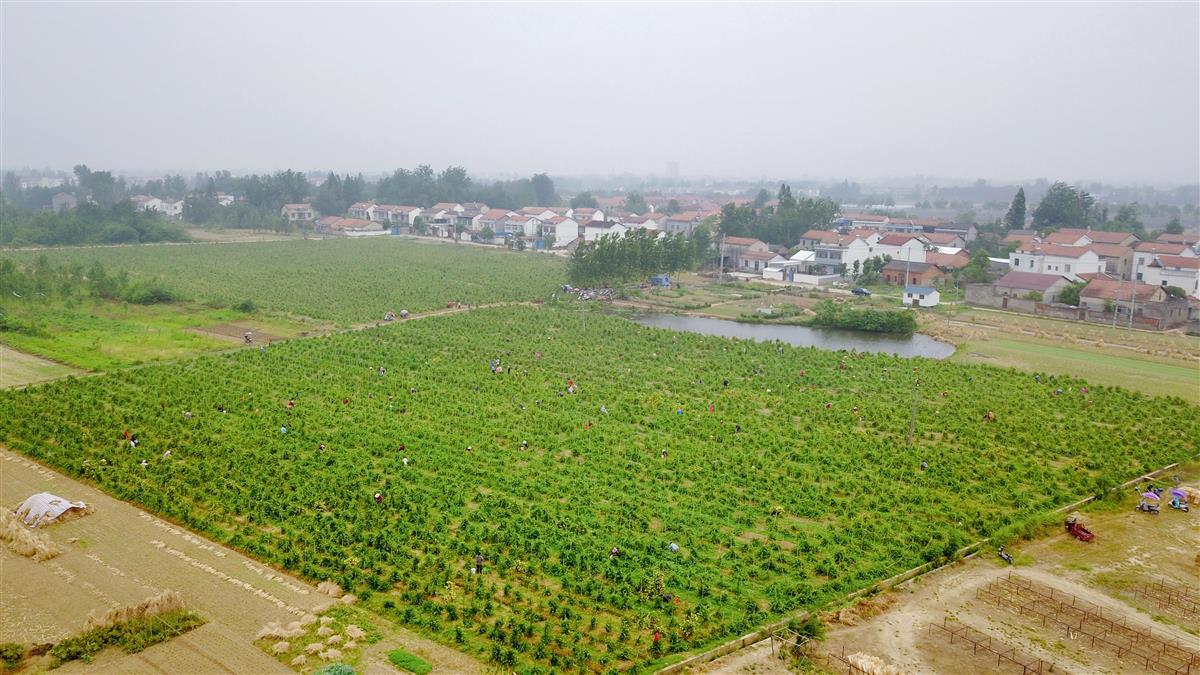 微信图片_20240511151454.jpg 微信图片_20240511151454.jpg