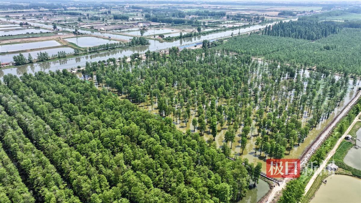 微信图片_20240514161011.jpg 微信图片_20240514161011.jpg