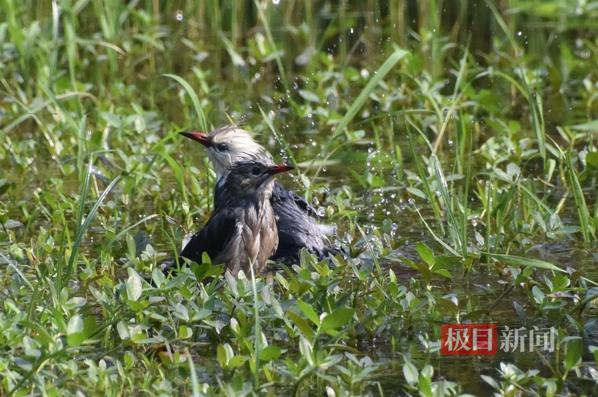 5aadea3f389a02f633222bfff91acf5.jpg 5aadea3f389a02f633222bfff91acf5.jpg