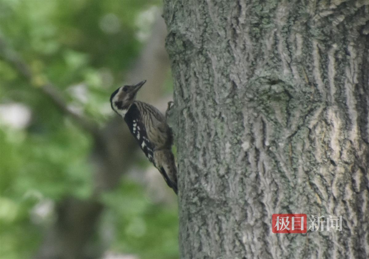 bb5fd6c39692dab24c801b70a18189a.jpg bb5fd6c39692dab24c801b70a18189a.jpg