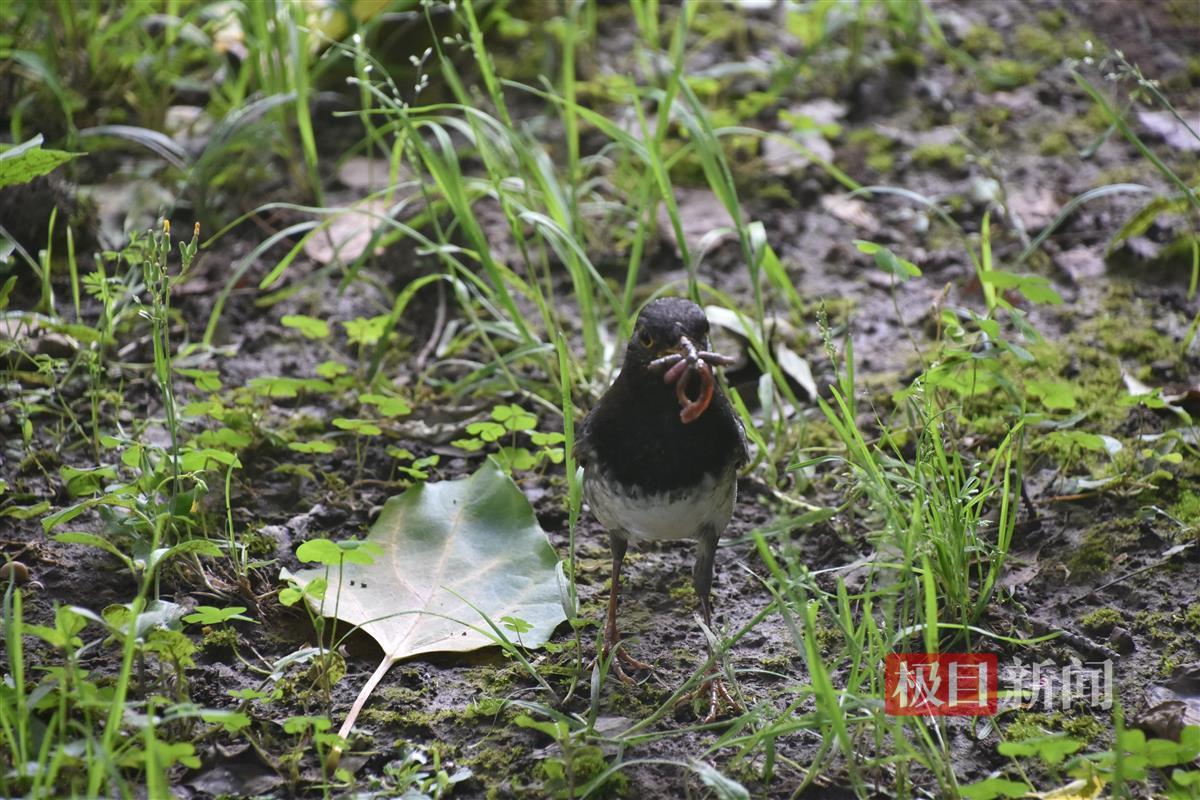 75ca85d1090f6767cd15cc06fc45156.jpg 75ca85d1090f6767cd15cc06fc45156.jpg