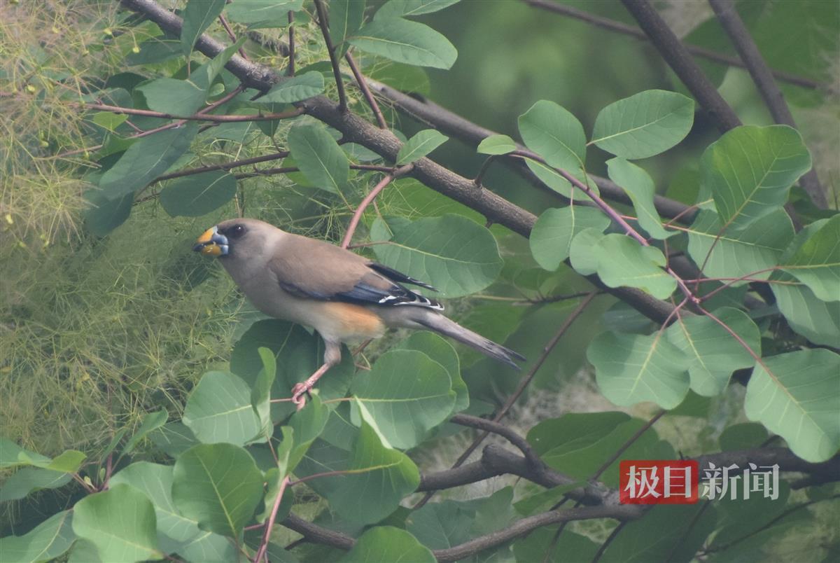 84d75928418eb051302b328ce1eb293.jpg 84d75928418eb051302b328ce1eb293.jpg