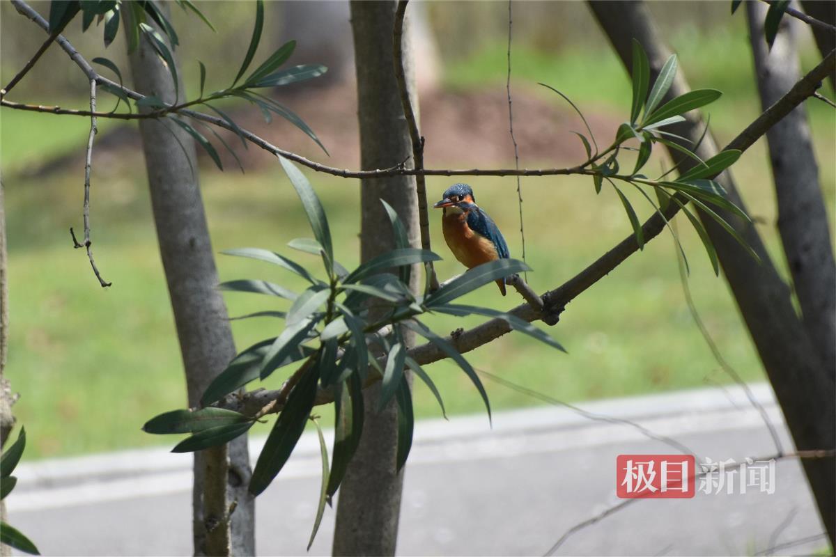 a6b4452e632dab98a687d35d47b3a0d.jpg a6b4452e632dab98a687d35d47b3a0d.jpg