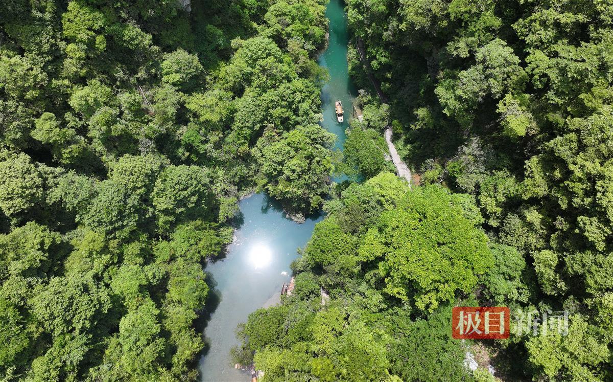 舟行水上如悬浮空中！箬叶船、乌篷船、小木船“相聚”鹤峰，中外游客纷纷打卡 | 极目新闻