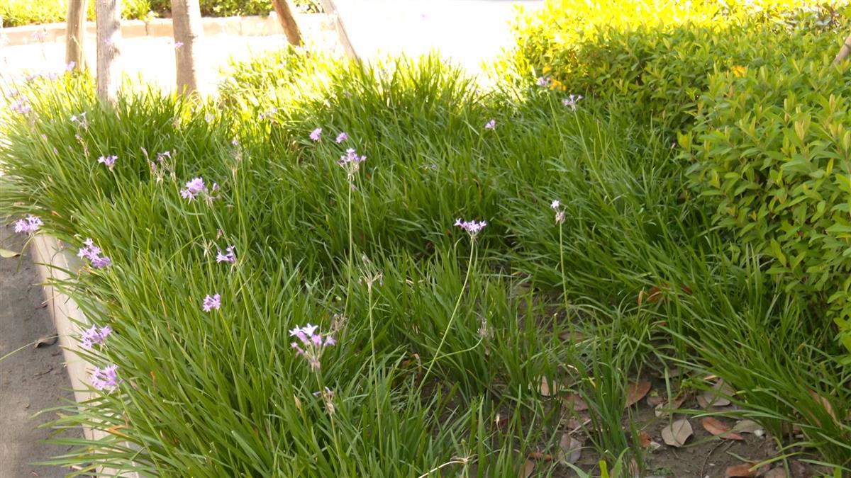 微信图片_20240603142711.jpg 微信图片_20240603142711.jpg