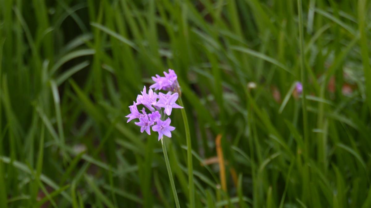 微信图片_20240603150325.jpg 微信图片_20240603150325.jpg