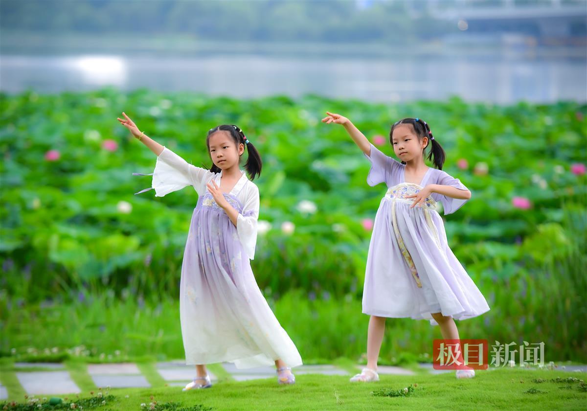 端午佳節(jié)荷花盛開，市民游客紛至沓來賞美景