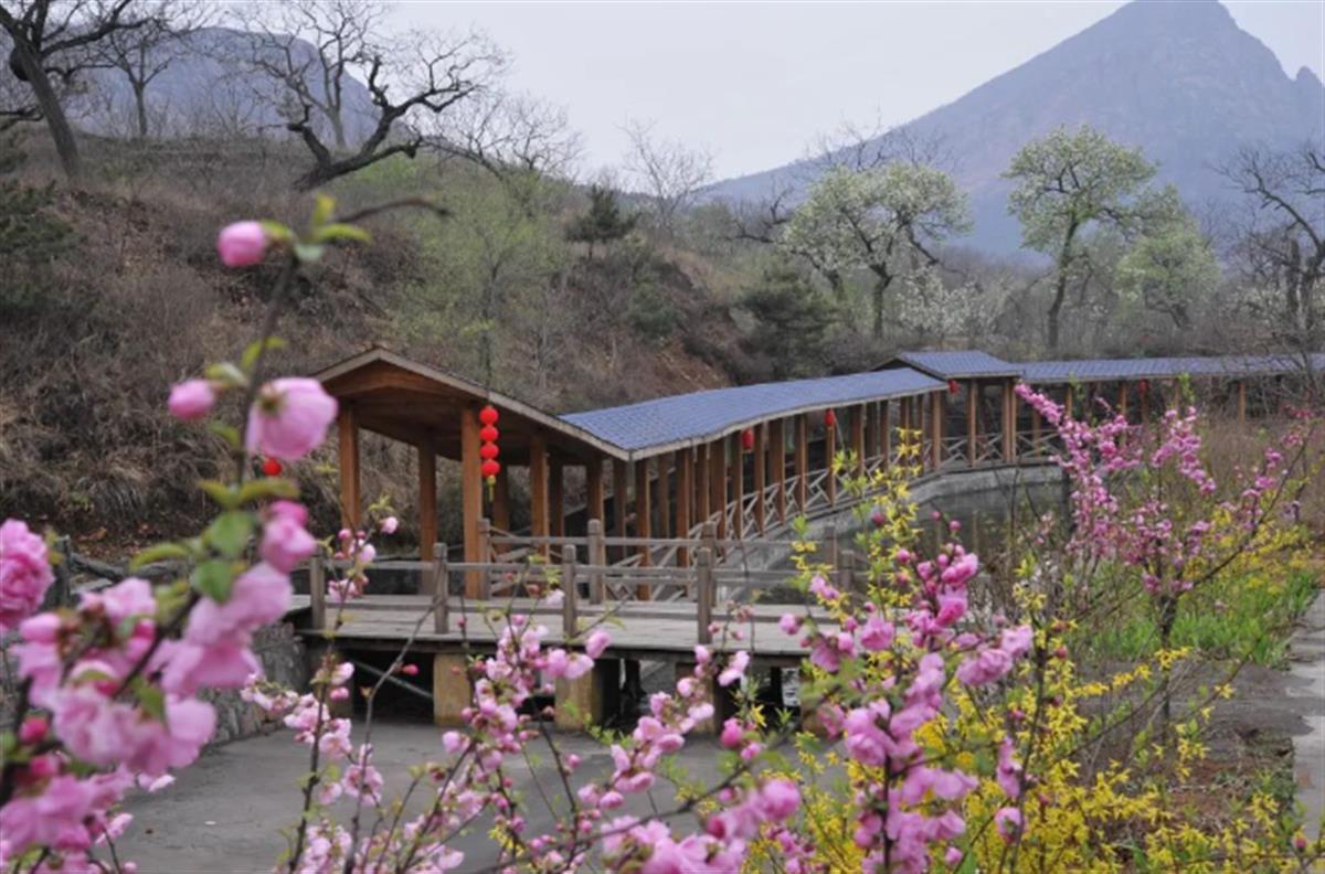 截图20240611163307.png 截图20240611163307.png